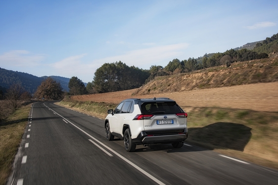 RAV4 2019