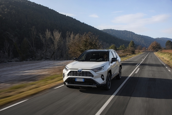 RAV4 2019