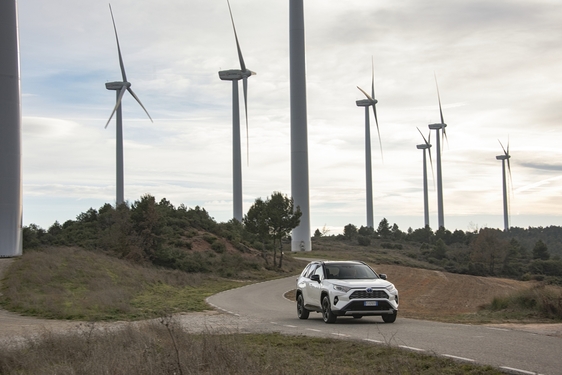 RAV4 2019
