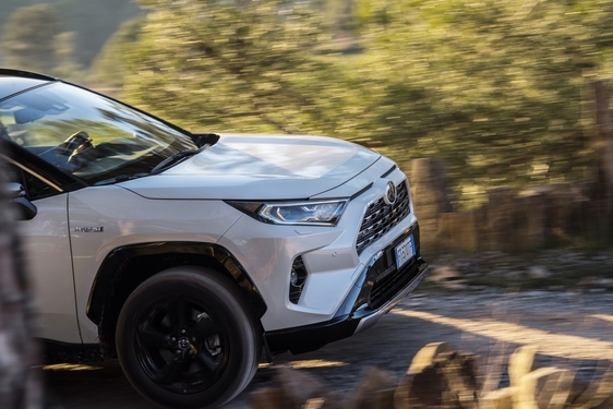 RAV4 2019