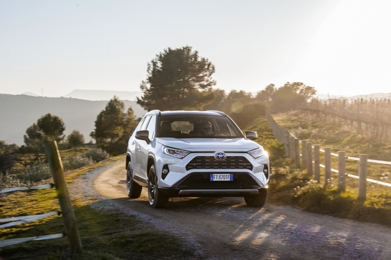 RAV4 2019