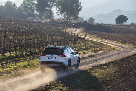 RAV4 2019