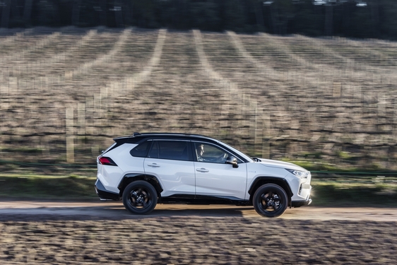 RAV4 2019
