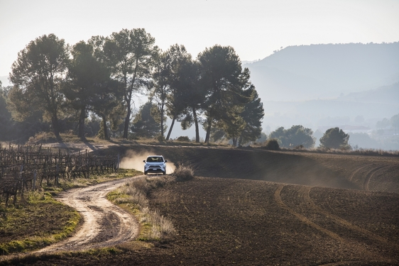 RAV4 2019