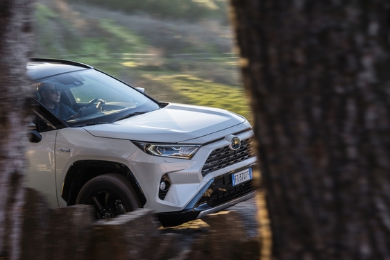 RAV4 2019