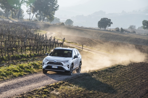 RAV4 2019