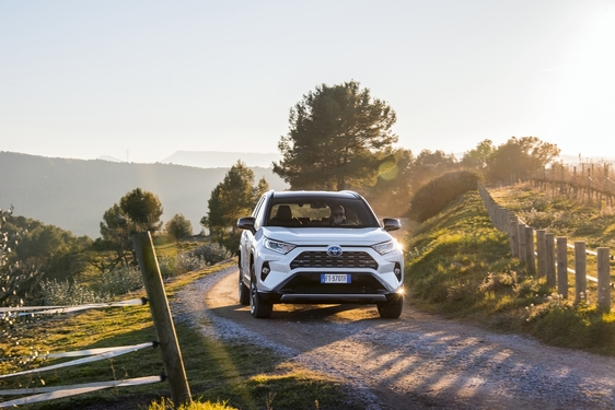 RAV4 2019
