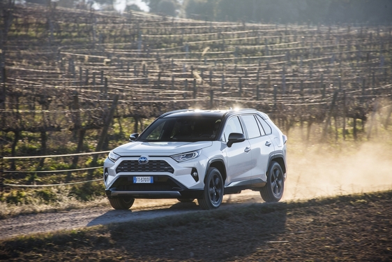 RAV4 2019