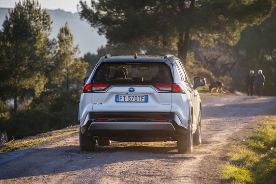 RAV4 2019