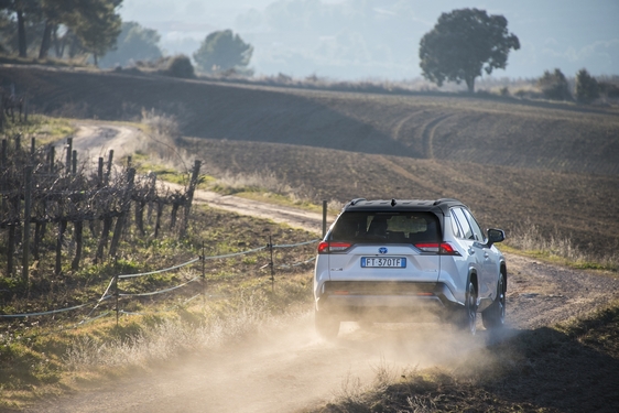 RAV4 2019