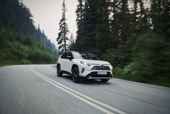 RAV4 2019