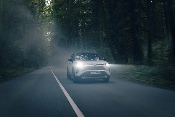 RAV4 2019