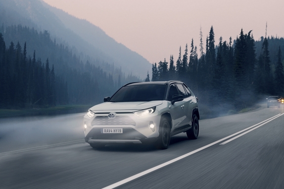 RAV4 2019