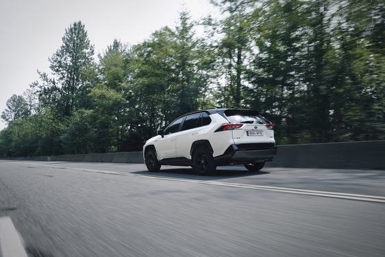RAV4 2019