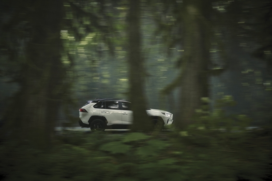 RAV4 2019