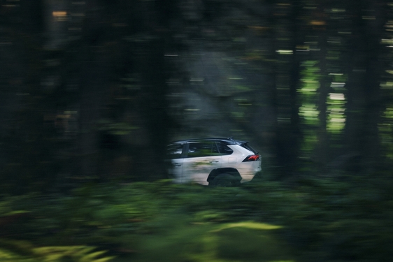 RAV4 2019