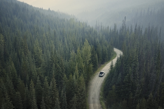 RAV4 2019
