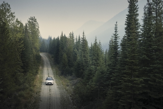RAV4 2019