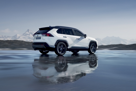 RAV4 2019