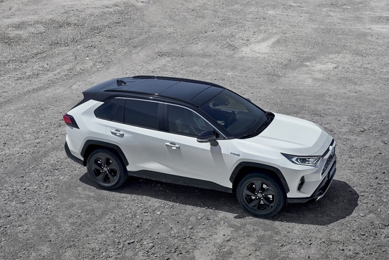 RAV4 2019