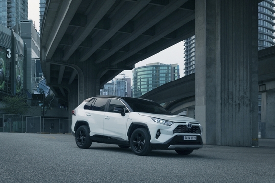 RAV4 2019