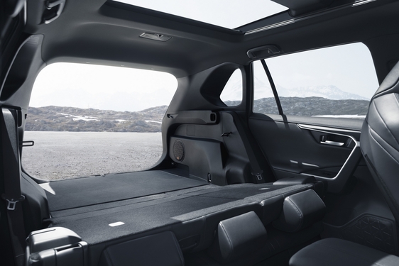 RAV4 2019