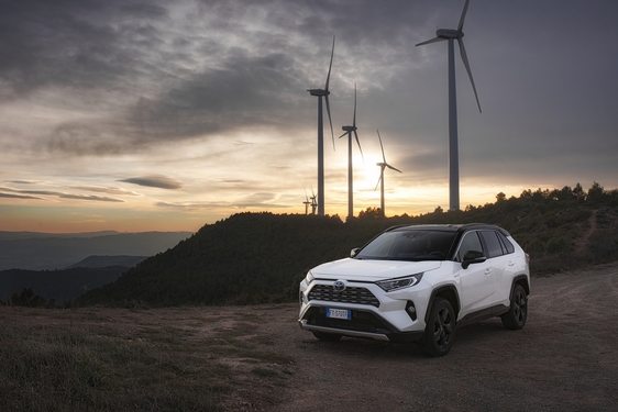 RAV4 2019