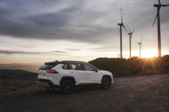 RAV4 2019