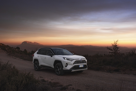 RAV4 2019