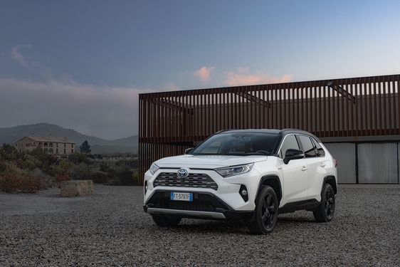 RAV4 2019