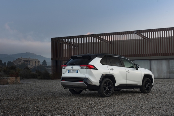 RAV4 2019