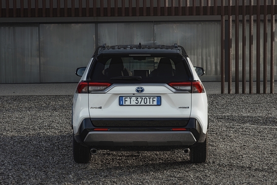 RAV4 2019