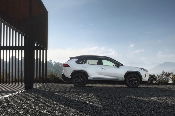 RAV4 2019