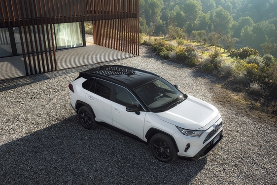 RAV4 2019